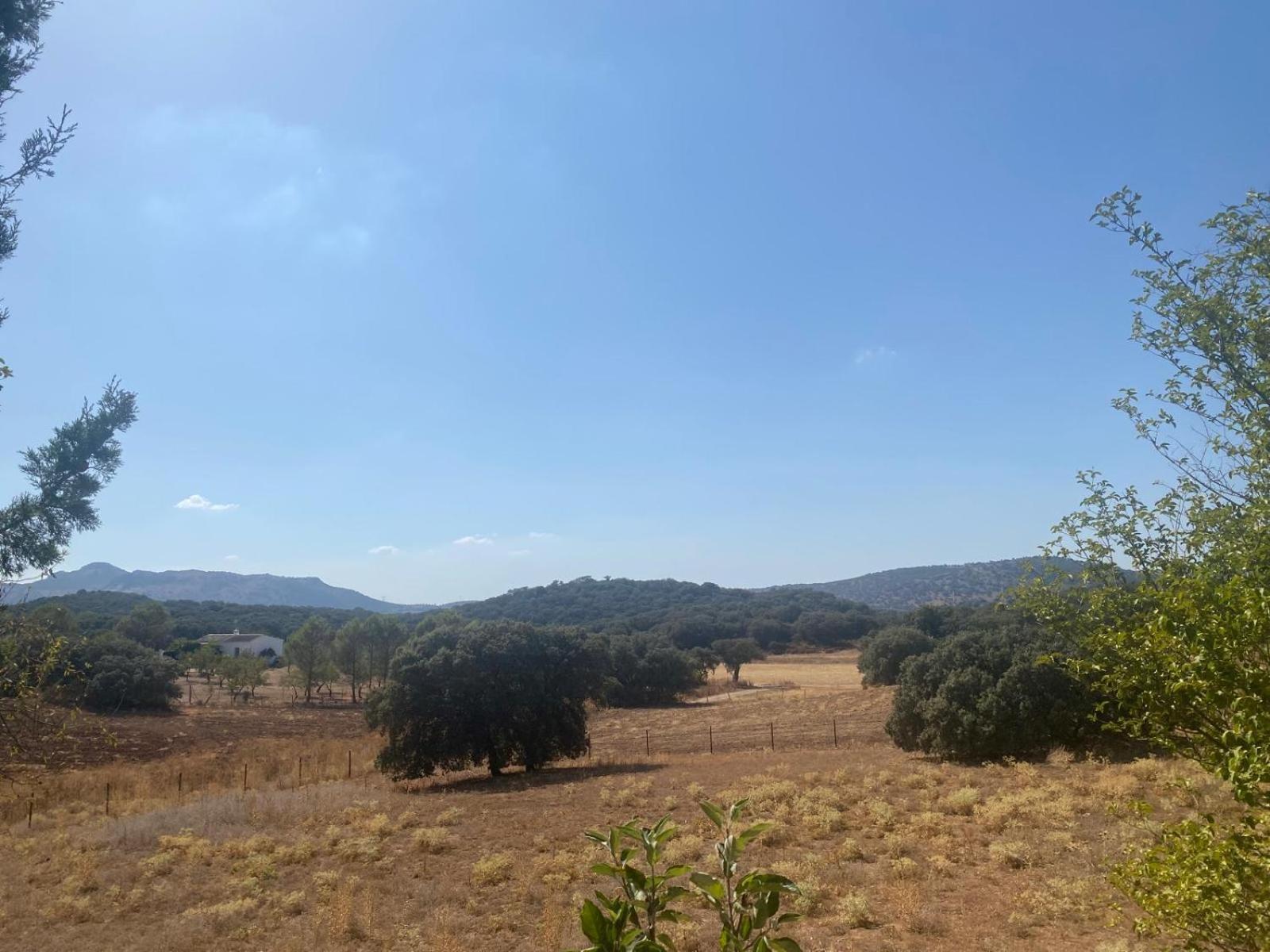 Casa Rural El Contarin - An Andalusian Escape, Archidona, Malaga Bagian luar foto