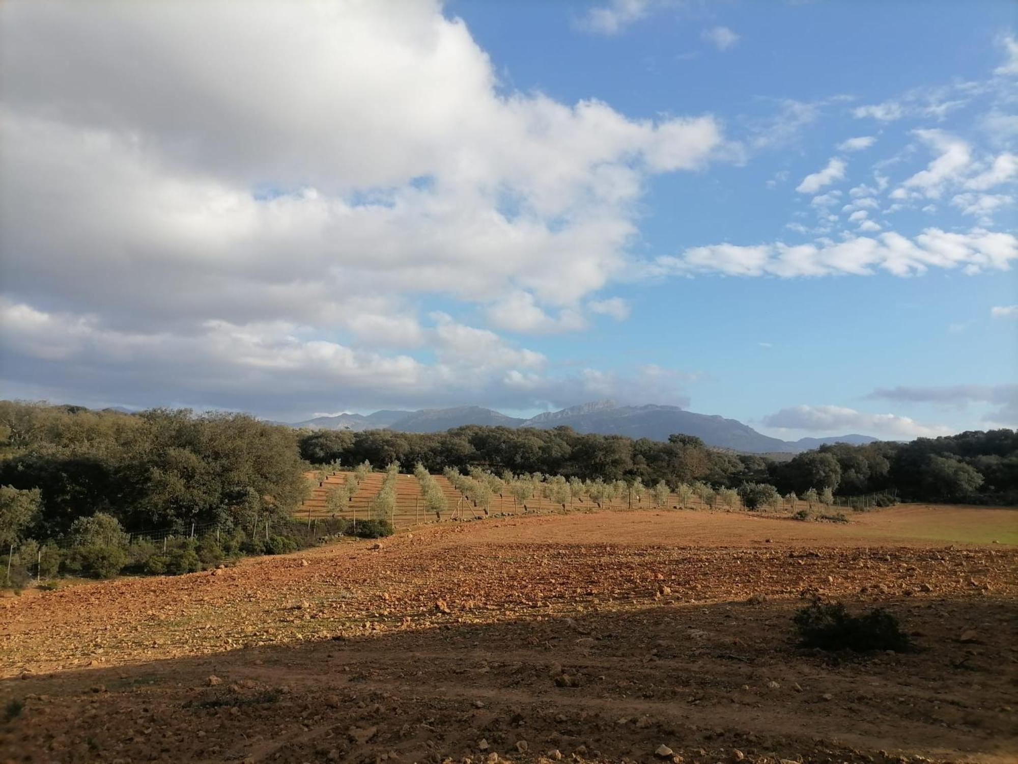 Casa Rural El Contarin - An Andalusian Escape, Archidona, Malaga Bagian luar foto